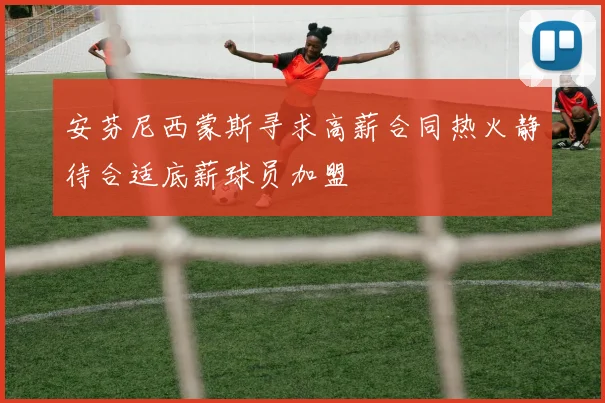 安芬尼西蒙斯寻求高薪合同热火静待合适底薪球员加盟